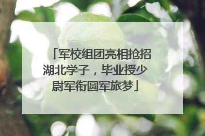 军校组团亮相抢招湖北学子，毕业授少尉军衔圆军旅梦