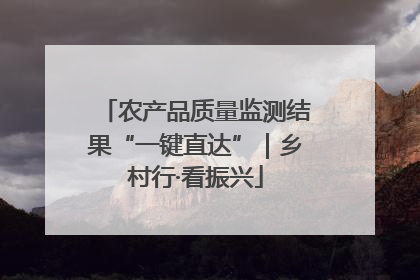 农产品质量监测结果“一键直达”｜乡村行·看振兴