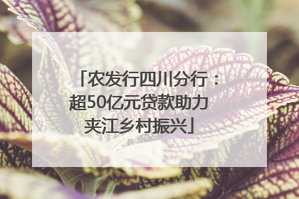 农发行四川分行：超50亿元贷款助力夹江乡村振兴