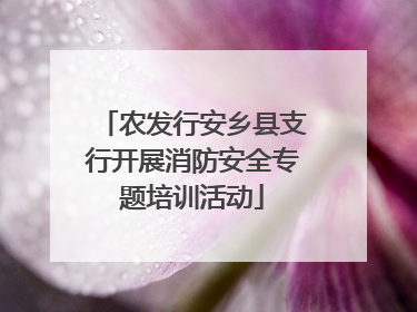 农发行安乡县支行开展消防安全专题培训活动