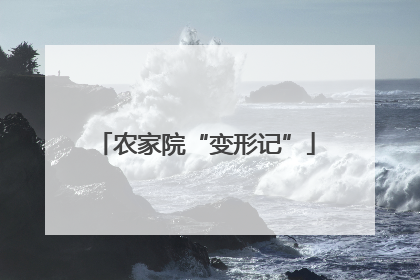 农家院“变形记”
