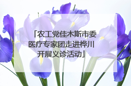 农工党佳木斯市委医疗专家团走进桦川开展义诊活动