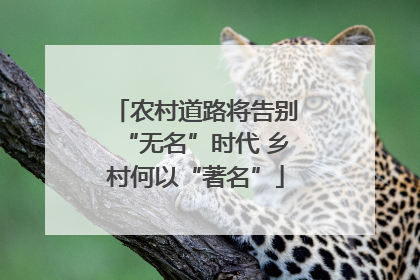 农村道路将告别“无名”时代 乡村何以“著名”