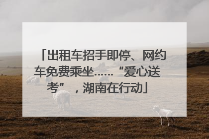 出租车招手即停、网约车免费乘坐……“爱心送考”，湖南在行动