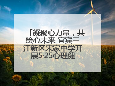 凝聚心力量，共绘心未来 宜宾三江新区宋家中学开展5·25心理健康月活动
