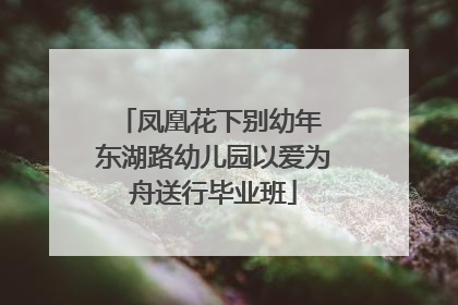 凤凰花下别幼年 东湖路幼儿园以爱为舟送行毕业班