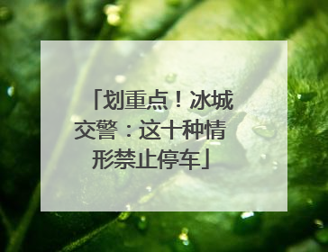 划重点！冰城交警：这十种情形禁止停车