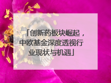 创新药板块崛起，中欧基金深度透视行业现状与机遇