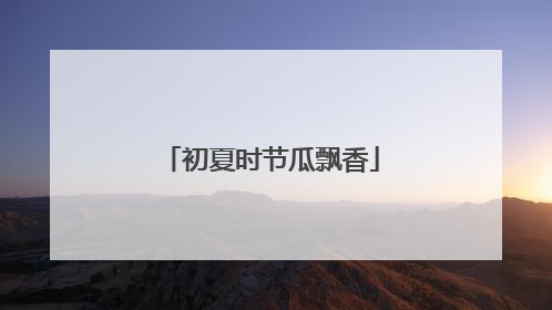 初夏时节瓜飘香