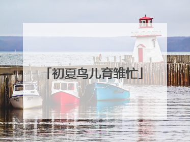 初夏鸟儿育雏忙
