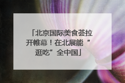 北京国际美食荟拉开帷幕！在北展能“逛吃”全中国