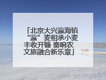 北京大兴瀛海镇“瀛”麦相承小麦丰收开镰 奏响农文旅融合新乐章