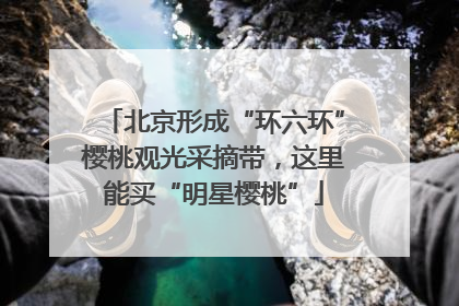 北京形成“环六环”樱桃观光采摘带，这里能买“明星樱桃”