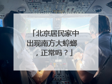北京居民家中出现南方大蟑螂，正常吗？