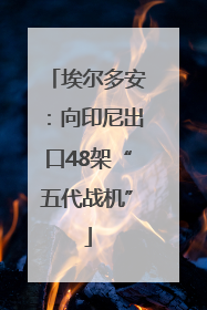 埃尔多安：向印尼出口48架“五代战机”
