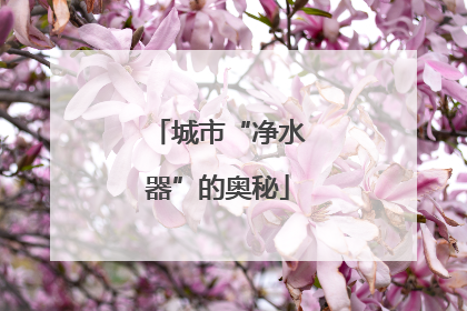 城市“净水器”的奥秘