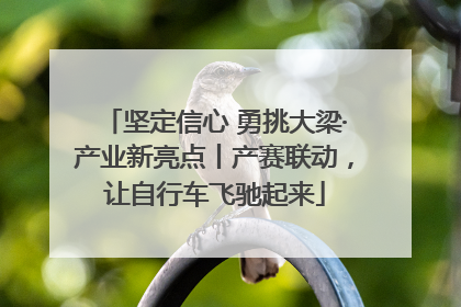 坚定信心 勇挑大梁·产业新亮点丨产赛联动，让自行车飞驰起来