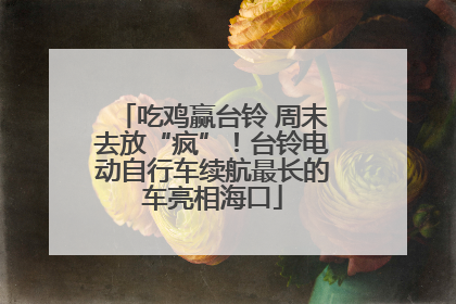 吃鸡赢台铃 周末去放“疯”！台铃电动自行车续航最长的车亮相海口