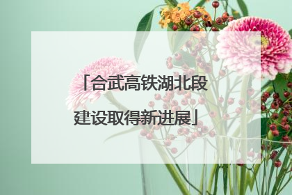 合武高铁湖北段建设取得新进展