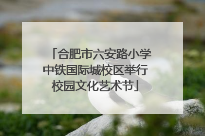 合肥市六安路小学中铁国际城校区举行校园文化艺术节