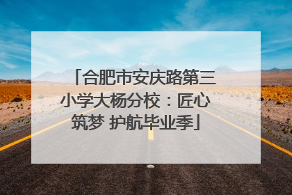 合肥市安庆路第三小学大杨分校：匠心筑梦 护航毕业季