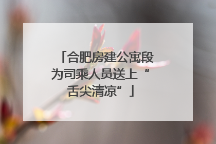 合肥房建公寓段为司乘人员送上“舌尖清凉”