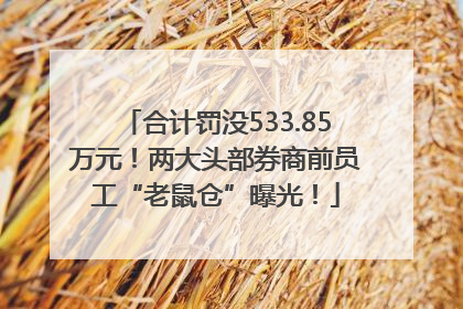 合计罚没533.85万元！两大头部券商前员工“老鼠仓”曝光！