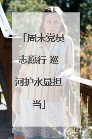 周末党员志愿行 巡河护水显担当