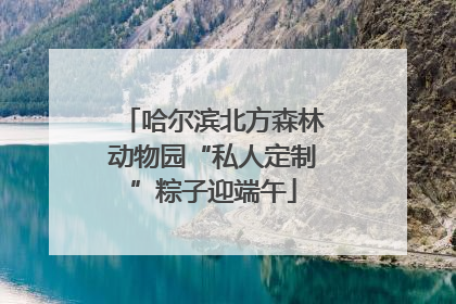 哈尔滨北方森林动物园“私人定制”粽子迎端午