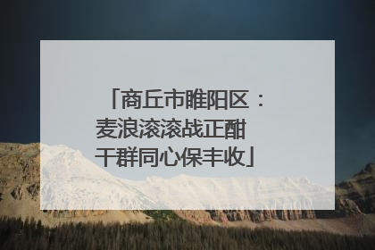 商丘市睢阳区：麦浪滚滚战正酣 干群同心保丰收