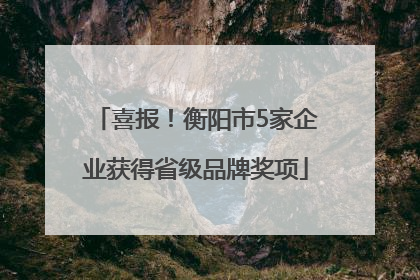 喜报！衡阳市5家企业获得省级品牌奖项