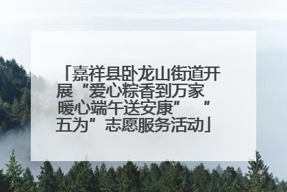 嘉祥县卧龙山街道开展“爱心粽香到万家 暖心端午送安康” “五为”志愿服务活动