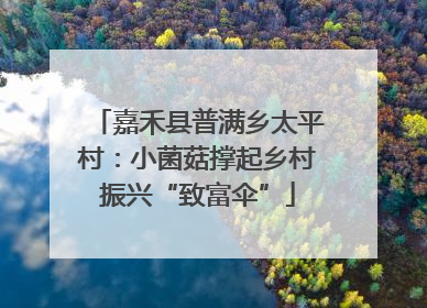 嘉禾县普满乡太平村：小菌菇撑起乡村振兴“致富伞”