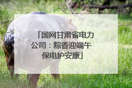 国网甘肃省电力公司：粽香迎端午 保电护安康