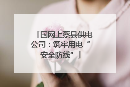 国网上蔡县供电公司：筑牢用电“安全防线”