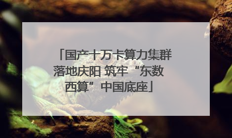 国产十万卡算力集群落地庆阳 筑牢“东数西算”中国底座