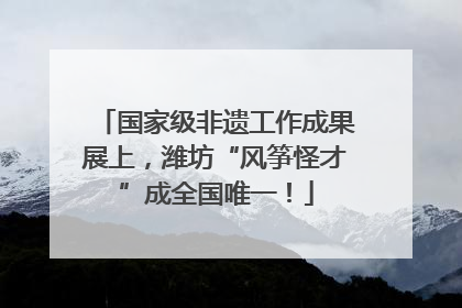 国家级非遗工作成果展上，潍坊“风筝怪才”成全国唯一！