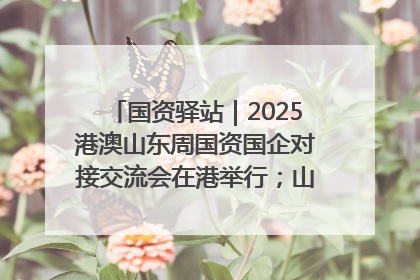 国资驿站｜2025港澳山东周国资国企对接交流会在港举行；山东黄金成功在境外发行3亿美元绿色债券