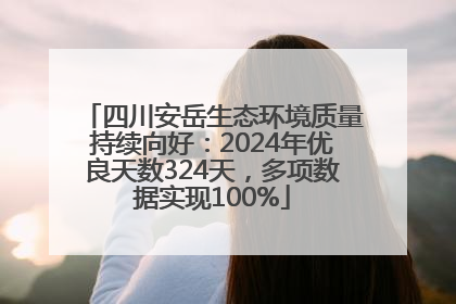 四川安岳生态环境质量持续向好：2024年优良天数324天，多项数据实现100%