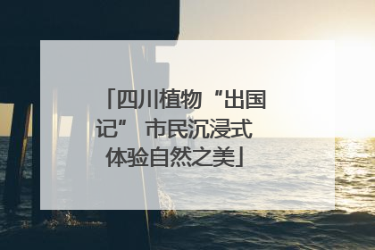 四川植物“出国记” 市民沉浸式体验自然之美