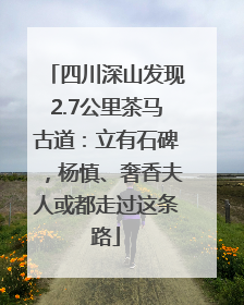 四川深山发现2.7公里茶马古道：立有石碑，杨慎、奢香夫人或都走过这条路