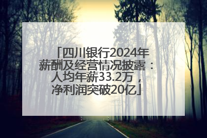 四川银行2024年薪酬及经营情况披露：人均年薪33.2万，净利润突破20亿