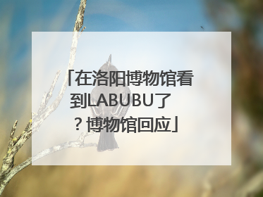 在洛阳博物馆看到LABUBU了？博物馆回应