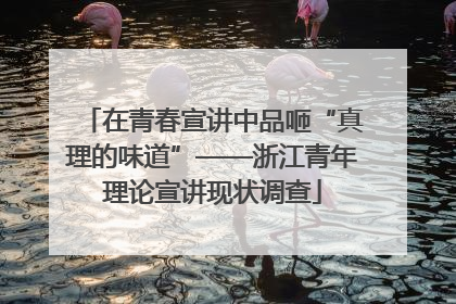 在青春宣讲中品咂“真理的味道”——浙江青年理论宣讲现状调查