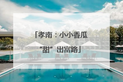 孝南：小小香瓜 “甜”出富路