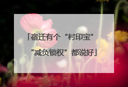 宿迁有个“村印宝” “减负锁权”都说好