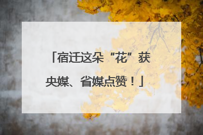 宿迁这朵“花”获央媒、省媒点赞！