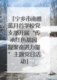 宁乡市南雅蓝月谷学校党支部开展“传承红色基因 凝聚奋进力量”主题党日活动