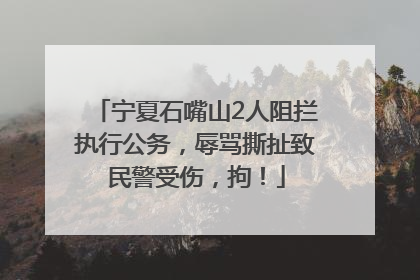 宁夏石嘴山2人阻拦执行公务，辱骂撕扯致民警受伤，拘！