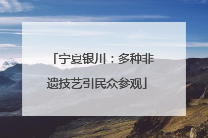 宁夏银川：多种非遗技艺引民众参观